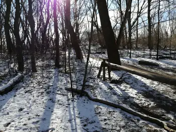 De Panne in de sneeuw (België)